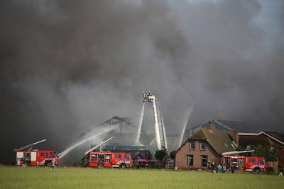 20.000 varkens dood door grote brand in stallen bij Erichem