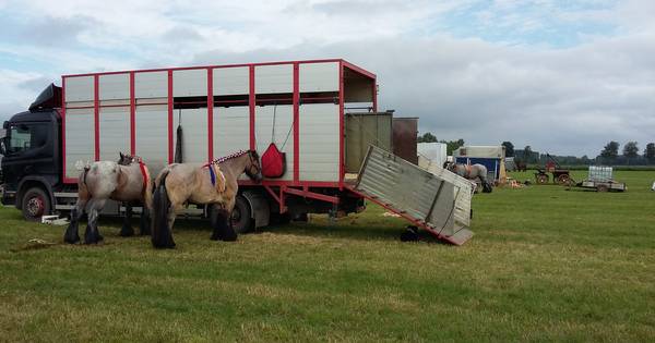 Licht op groen voor eeuwfeest Fok- en menvereniging Schouwen-Duiveland - PZC