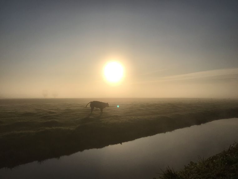 De kortste dag van het jaar met slechts 7,5 uur licht Het Parool
