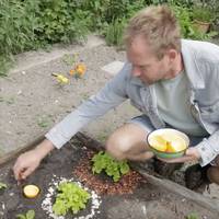 Boer Tom: “Dit doe ik tegen slakken in mijn tuin” 