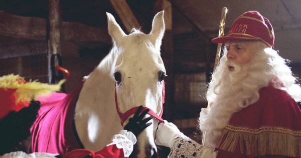 937 000 Kijkers Voor Sinterklaasjournaal Maar Waar Is Amerigo Show Ad Nl