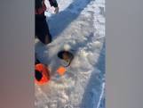 Des pêcheurs surpris par un rat musqué qui jaillit de la glace