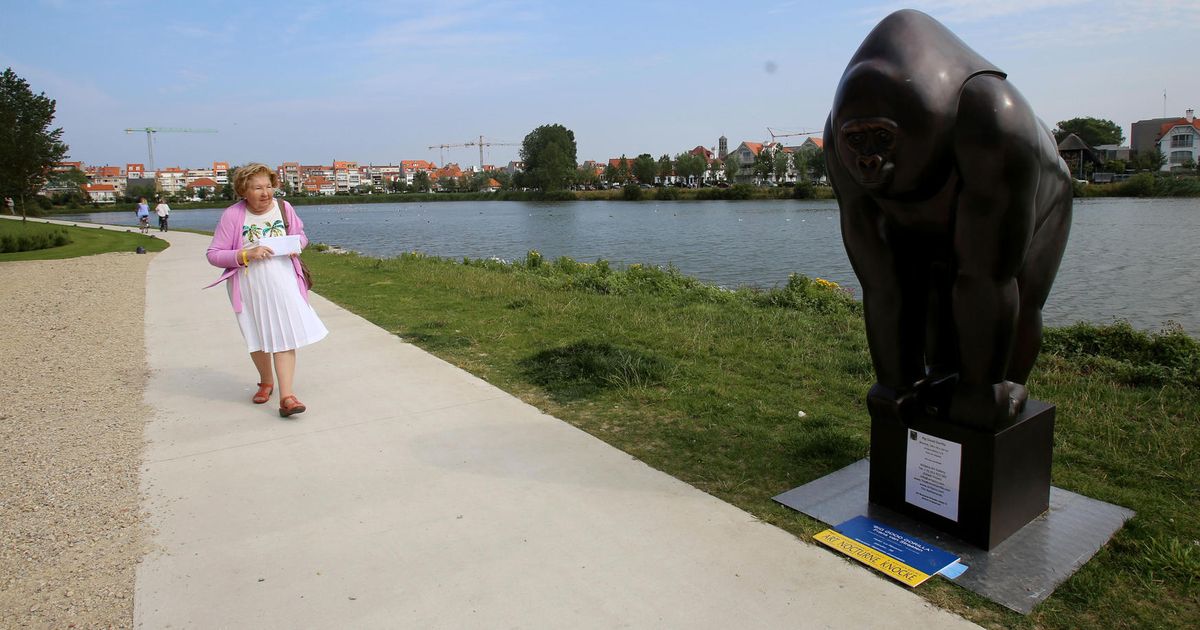 La Réserve krijgt gorilla op bezoek | Knokke-Heist | In de ...