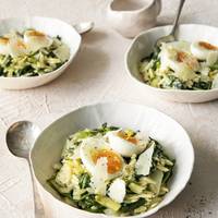 Romige orzo met spinazie, venkel en pecorino