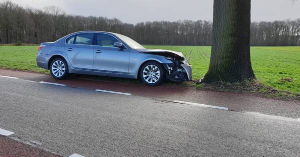 Bestuurder gewond na botsing tegen boom in Overdinkel