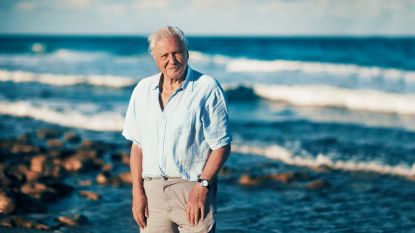 David Attenborough waarschuwt: "Oceanen nooit tevoren zo erg bedreigd als nu"
