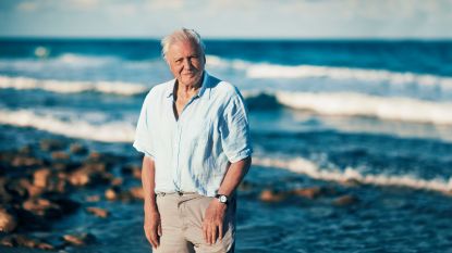 David Attenborough waarschuwt: 