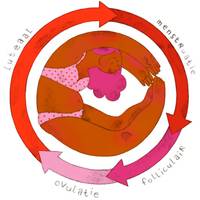 De opmars van ‘cycle syncing’: ‘Mijn partner krijgt regelmatig pushmeldingen over mijn menstruatiefase’