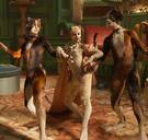 Oscarcampagne voor ‘Cats’ geannuleerd na tegenvallende resultaten