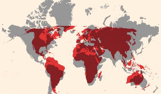 ‘De westerse wereld wordt al eeuwenlang groter, en dus ook belangrijker, voorgesteld dan het zuiden’: VN stemt voor eerlijkere wereldkaart