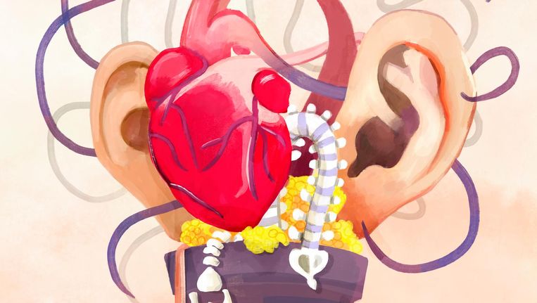 Als Je Ouder Wordt De Balzak Groeit De Vagina Krimpt Het Parool