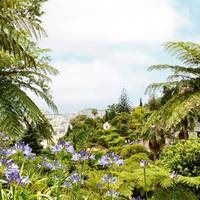 Van de exotische bloemenweelde tot elegante straten: dít wil je doen op Madeira
