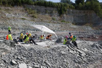 Botten, tanden, skeletten: wereld van miljoenen jaren terug is te vinden in de steengroeve in Winterswijk