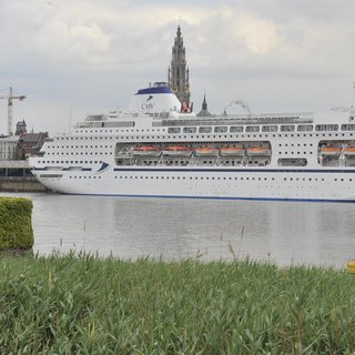 Cruiseschepen in lage-emissiezone Antwerpen: te gek voor woorden