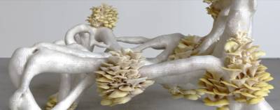 Krown-Design uit Wageningen in de race voor prijs ASN Bank