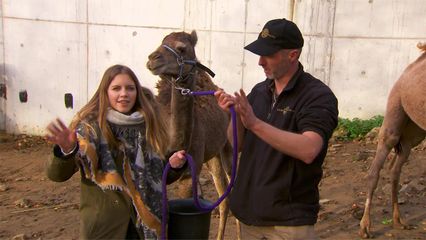 Aflevering 10