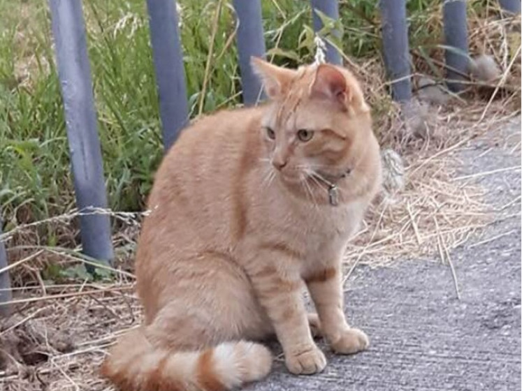 7sur7.be, l'actualité belge et internationale en temps réel 7sur7.be