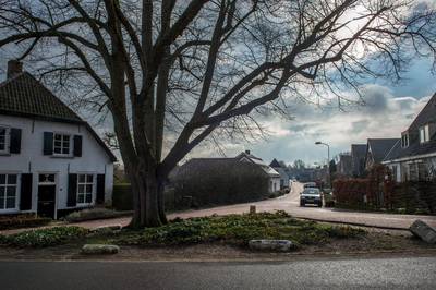 Deze zestien mooie locaties in Maas en Waal droegen jullie aan voor bescherming
