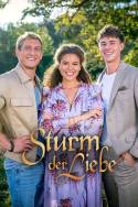 boxcover van Sturm der Liebe