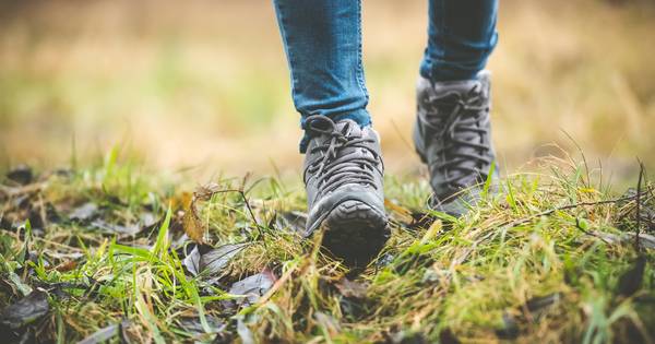Al 500 inschrijvingen voor eerste editie Trailevent in Leende