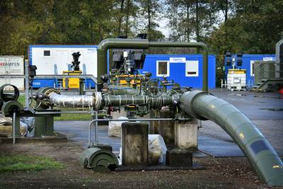 College Dinkelland: ‘Geen sprake van buizenvretende bacterie’