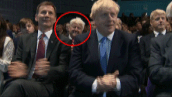 De appel valt niet ver van de boom: de vader van Boris Johnson reageert