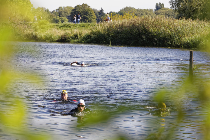 De aankomst van zwemmers bij het Vughtereiland.