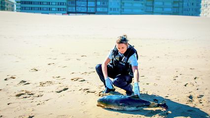4. Aan het Strand van Oostende