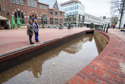 Arnhemmer moet uitgezette goudvissen weer laten vangen