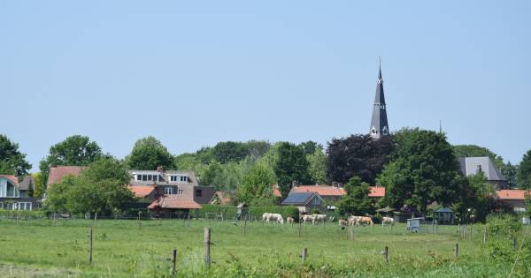 Rielse hobbyboer moet kudde in aantal halveren