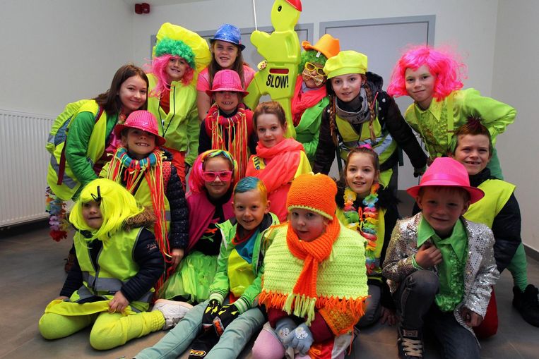 Afbeeldingsresultaat voor fluodag