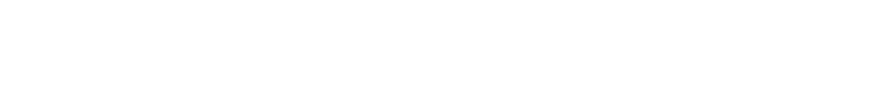 Le casse de Central Park