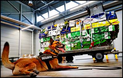 Douane maakt zich op voor no deal-brexit: ‘we zullen ook moeten improviseren’