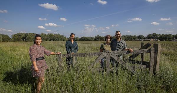Rondje Helmond wandelen door corona | De Peel - Eindhovens Dagblad