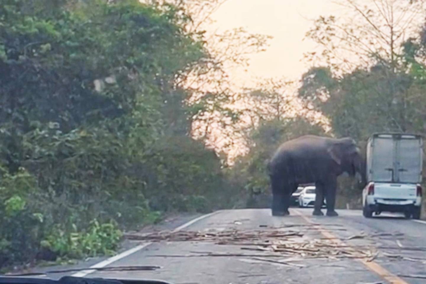 Caught on Dashcam