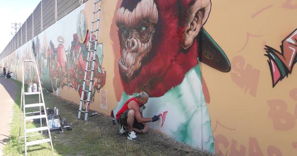 Graffitiartiesten leven zich uit op lange muur PSVlaan in Eindhoven