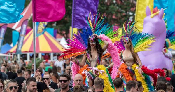'Leegstampen' en plezier maken tijdens Dreamfields - De Gelderlander