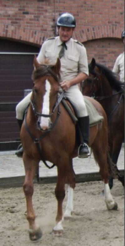 Steigerend paard valt achterover op geliefde dierenarts: ‘Mijn vader is in het harnas gestorven’