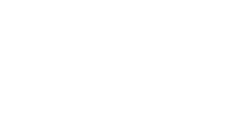 Air Force One Down