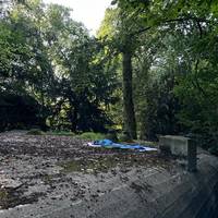 Dood van Palestijn in Stadspark blijft gemoederen beroeren: parket vermoedt zelfdoding