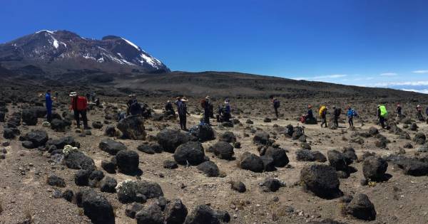 Nieuws over Gemert Oozo.nl Klimmers Gemert voor albinisme op top van Kilimanjaro