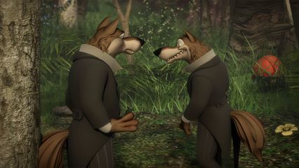 8. Waar twee wolven ?