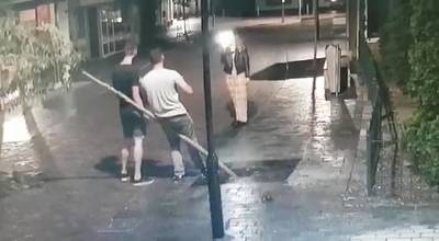 Filmend meisje meldt zich bij politie voor vernielen boom in Geldermalsen