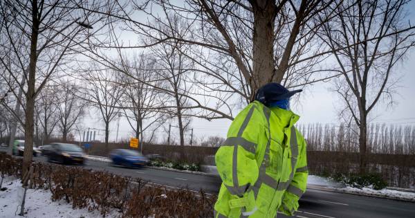 Nee, geen vogelverjager, een pop van ‘laseragent’ laat automobilisten schrikken