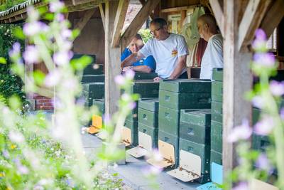 Wondere wereld van de nijvere bij centraal in de Moestuin van Twickel Delden