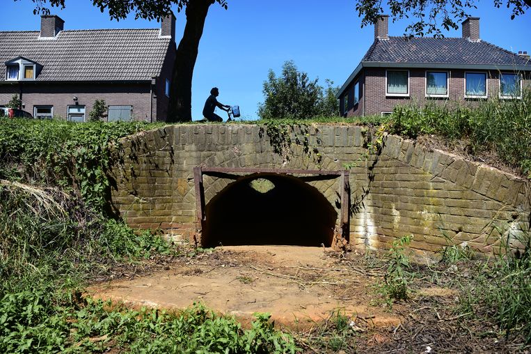 Houses sag faster due to drought: ‘With three more such summers I hold my heart’