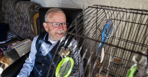 Cees (82) overstelpt met post na verhaal over eenzaamheid - BD.nl