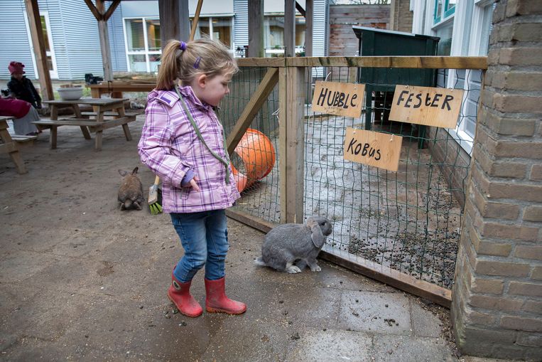 Een School Zoals Maria Montessori Het Echt Bedoelde Trouw