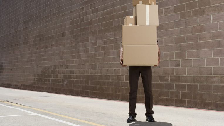 Hondenfluisteraar lummen