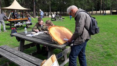 Klimmen als een aap op de Hoge Veluwe tijdens het Hout Event